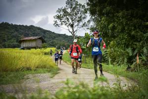 BIB: 
                            <button type="button" onclick="openModal(13415938)" class="btn btn-primary btn-sm float-right btn-popup" data-toggle="modal" data-target=".modal-high-quality">
                        <i class="fas fa-shopping-cart"></i> Add to Cart
                    </button>
                                            <button type="button" onclick="isThisMe(13415938, true)" class="btn btn-success btn-sm float-right btn-popup btn-isme hidden" data-toggle="tooltip" data-placement="bottom" title="นี่คือรูปของคุณใช่ไหม คลิกที่นี่เพื่อเอาเข้าอัลบั้ม">
                        <i class="fas fa-plus"></i> Add to album
                    </button>
                    <button type="button" onclick="isThisMe(13415938, false)" class="btn btn-warning btn-sm float-right btn-popup btn-isnotme hidden">
                        <i class="fas fa-ban"></i> Remove from album
                    </button>