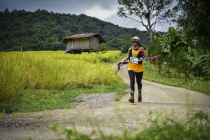 BIB: 
                            <button type="button" onclick="openModal(13422404)" class="btn btn-primary btn-sm float-right btn-popup" data-toggle="modal" data-target=".modal-high-quality">
                        <i class="fas fa-shopping-cart"></i> Add to Cart
                    </button>
                                            <button type="button" onclick="isThisMe(13422404, true)" class="btn btn-success btn-sm float-right btn-popup btn-isme hidden" data-toggle="tooltip" data-placement="bottom" title="นี่คือรูปของคุณใช่ไหม คลิกที่นี่เพื่อเอาเข้าอัลบั้ม">
                        <i class="fas fa-plus"></i> Add to album
                    </button>
                    <button type="button" onclick="isThisMe(13422404, false)" class="btn btn-warning btn-sm float-right btn-popup btn-isnotme hidden">
                        <i class="fas fa-ban"></i> Remove from album
                    </button>