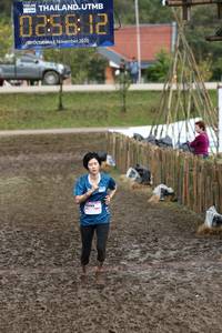 BIB: 0256, 2020
                            <button type="button" onclick="openModal(13409243)" class="btn btn-primary btn-sm float-right btn-popup" data-toggle="modal" data-target=".modal-high-quality">
                        <i class="fas fa-shopping-cart"></i> Add to Cart
                    </button>
                                            <button type="button" onclick="isThisMe(13409243, true)" class="btn btn-success btn-sm float-right btn-popup btn-isme hidden" data-toggle="tooltip" data-placement="bottom" title="นี่คือรูปของคุณใช่ไหม คลิกที่นี่เพื่อเอาเข้าอัลบั้ม">
                        <i class="fas fa-plus"></i> Add to album
                    </button>
                    <button type="button" onclick="isThisMe(13409243, false)" class="btn btn-warning btn-sm float-right btn-popup btn-isnotme hidden">
                        <i class="fas fa-ban"></i> Remove from album
                    </button>