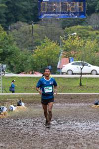 BIB: 2020, 1652
                            <button type="button" onclick="openModal(13405501)" class="btn btn-primary btn-sm float-right btn-popup" data-toggle="modal" data-target=".modal-high-quality">
                        <i class="fas fa-shopping-cart"></i> Add to Cart
                    </button>
                                            <button type="button" onclick="isThisMe(13405501, true)" class="btn btn-success btn-sm float-right btn-popup btn-isme hidden" data-toggle="tooltip" data-placement="bottom" title="นี่คือรูปของคุณใช่ไหม คลิกที่นี่เพื่อเอาเข้าอัลบั้ม">
                        <i class="fas fa-plus"></i> Add to album
                    </button>
                    <button type="button" onclick="isThisMe(13405501, false)" class="btn btn-warning btn-sm float-right btn-popup btn-isnotme hidden">
                        <i class="fas fa-ban"></i> Remove from album
                    </button>