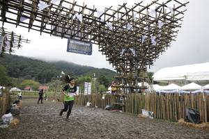 BIB: 
                            <button type="button" onclick="openModal(13374879)" class="btn btn-primary btn-sm float-right btn-popup" data-toggle="modal" data-target=".modal-high-quality">
                        <i class="fas fa-shopping-cart"></i> Add to Cart
                    </button>
                                            <button type="button" onclick="isThisMe(13374879, true)" class="btn btn-success btn-sm float-right btn-popup btn-isme hidden" data-toggle="tooltip" data-placement="bottom" title="นี่คือรูปของคุณใช่ไหม คลิกที่นี่เพื่อเอาเข้าอัลบั้ม">
                        <i class="fas fa-plus"></i> Add to album
                    </button>
                    <button type="button" onclick="isThisMe(13374879, false)" class="btn btn-warning btn-sm float-right btn-popup btn-isnotme hidden">
                        <i class="fas fa-ban"></i> Remove from album
                    </button>