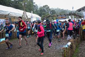 BIB: 080
                            <button type="button" onclick="openModal(13402969)" class="btn btn-primary btn-sm float-right btn-popup" data-toggle="modal" data-target=".modal-high-quality">
                        <i class="fas fa-shopping-cart"></i> Add to Cart
                    </button>
                                            <button type="button" onclick="isThisMe(13402969, true)" class="btn btn-success btn-sm float-right btn-popup btn-isme hidden" data-toggle="tooltip" data-placement="bottom" title="นี่คือรูปของคุณใช่ไหม คลิกที่นี่เพื่อเอาเข้าอัลบั้ม">
                        <i class="fas fa-plus"></i> Add to album
                    </button>
                    <button type="button" onclick="isThisMe(13402969, false)" class="btn btn-warning btn-sm float-right btn-popup btn-isnotme hidden">
                        <i class="fas fa-ban"></i> Remove from album
                    </button>