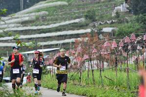 BIB: 
                            <button type="button" onclick="openModal(13375778)" class="btn btn-primary btn-sm float-right btn-popup" data-toggle="modal" data-target=".modal-high-quality">
                        <i class="fas fa-shopping-cart"></i> Add to Cart
                    </button>
                                            <button type="button" onclick="isThisMe(13375778, true)" class="btn btn-success btn-sm float-right btn-popup btn-isme hidden" data-toggle="tooltip" data-placement="bottom" title="นี่คือรูปของคุณใช่ไหม คลิกที่นี่เพื่อเอาเข้าอัลบั้ม">
                        <i class="fas fa-plus"></i> Add to album
                    </button>
                    <button type="button" onclick="isThisMe(13375778, false)" class="btn btn-warning btn-sm float-right btn-popup btn-isnotme hidden">
                        <i class="fas fa-ban"></i> Remove from album
                    </button>