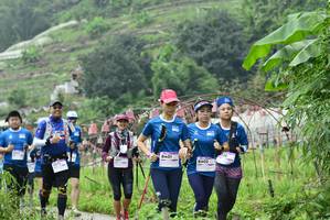 BIB: 8401, 8402
                            <button type="button" onclick="openModal(13376691)" class="btn btn-primary btn-sm float-right btn-popup" data-toggle="modal" data-target=".modal-high-quality">
                        <i class="fas fa-shopping-cart"></i> Add to Cart
                    </button>
                                            <button type="button" onclick="isThisMe(13376691, true)" class="btn btn-success btn-sm float-right btn-popup btn-isme hidden" data-toggle="tooltip" data-placement="bottom" title="นี่คือรูปของคุณใช่ไหม คลิกที่นี่เพื่อเอาเข้าอัลบั้ม">
                        <i class="fas fa-plus"></i> Add to album
                    </button>
                    <button type="button" onclick="isThisMe(13376691, false)" class="btn btn-warning btn-sm float-right btn-popup btn-isnotme hidden">
                        <i class="fas fa-ban"></i> Remove from album
                    </button>