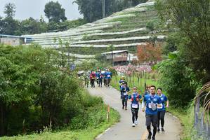 BIB: 
                            <button type="button" onclick="openModal(13377844)" class="btn btn-primary btn-sm float-right btn-popup" data-toggle="modal" data-target=".modal-high-quality">
                        <i class="fas fa-shopping-cart"></i> Add to Cart
                    </button>
                                            <button type="button" onclick="isThisMe(13377844, true)" class="btn btn-success btn-sm float-right btn-popup btn-isme hidden" data-toggle="tooltip" data-placement="bottom" title="นี่คือรูปของคุณใช่ไหม คลิกที่นี่เพื่อเอาเข้าอัลบั้ม">
                        <i class="fas fa-plus"></i> Add to album
                    </button>
                    <button type="button" onclick="isThisMe(13377844, false)" class="btn btn-warning btn-sm float-right btn-popup btn-isnotme hidden">
                        <i class="fas fa-ban"></i> Remove from album
                    </button>