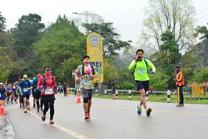 BIB: 
                            <button type="button" onclick="openModal(13373936)" class="btn btn-primary btn-sm float-right btn-popup" data-toggle="modal" data-target=".modal-high-quality">
                        <i class="fas fa-shopping-cart"></i> Add to Cart
                    </button>
                                            <button type="button" onclick="isThisMe(13373936, true)" class="btn btn-success btn-sm float-right btn-popup btn-isme hidden" data-toggle="tooltip" data-placement="bottom" title="นี่คือรูปของคุณใช่ไหม คลิกที่นี่เพื่อเอาเข้าอัลบั้ม">
                        <i class="fas fa-plus"></i> Add to album
                    </button>
                    <button type="button" onclick="isThisMe(13373936, false)" class="btn btn-warning btn-sm float-right btn-popup btn-isnotme hidden">
                        <i class="fas fa-ban"></i> Remove from album
                    </button>