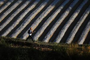 BIB: 
                            <button type="button" onclick="openModal(16058064)" class="btn btn-primary btn-sm float-right btn-popup" data-toggle="modal" data-target=".modal-high-quality">
                        <i class="fas fa-shopping-cart"></i> Add to Cart
                    </button>
                                            <button type="button" onclick="isThisMe(16058064, true)" class="btn btn-success btn-sm float-right btn-popup btn-isme hidden" data-toggle="tooltip" data-placement="bottom" title="นี่คือรูปของคุณใช่ไหม คลิกที่นี่เพื่อเอาเข้าอัลบั้ม">
                        <i class="fas fa-plus"></i> Add to album
                    </button>
                    <button type="button" onclick="isThisMe(16058064, false)" class="btn btn-warning btn-sm float-right btn-popup btn-isnotme hidden">
                        <i class="fas fa-ban"></i> Remove from album
                    </button>