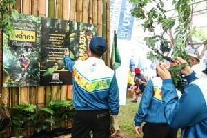 BIB: 
                            <button type="button" onclick="openModal(16060893)" class="btn btn-primary btn-sm float-right btn-popup" data-toggle="modal" data-target=".modal-high-quality">
                        <i class="fas fa-shopping-cart"></i> Add to Cart
                    </button>
                                            <button type="button" onclick="isThisMe(16060893, true)" class="btn btn-success btn-sm float-right btn-popup btn-isme hidden" data-toggle="tooltip" data-placement="bottom" title="นี่คือรูปของคุณใช่ไหม คลิกที่นี่เพื่อเอาเข้าอัลบั้ม">
                        <i class="fas fa-plus"></i> Add to album
                    </button>
                    <button type="button" onclick="isThisMe(16060893, false)" class="btn btn-warning btn-sm float-right btn-popup btn-isnotme hidden">
                        <i class="fas fa-ban"></i> Remove from album
                    </button>