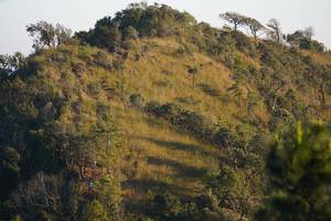 BIB: 
                            <button type="button" onclick="openModal(16056512)" class="btn btn-primary btn-sm float-right btn-popup" data-toggle="modal" data-target=".modal-high-quality">
                        <i class="fas fa-shopping-cart"></i> Add to Cart
                    </button>
                                            <button type="button" onclick="isThisMe(16056512, true)" class="btn btn-success btn-sm float-right btn-popup btn-isme hidden" data-toggle="tooltip" data-placement="bottom" title="นี่คือรูปของคุณใช่ไหม คลิกที่นี่เพื่อเอาเข้าอัลบั้ม">
                        <i class="fas fa-plus"></i> Add to album
                    </button>
                    <button type="button" onclick="isThisMe(16056512, false)" class="btn btn-warning btn-sm float-right btn-popup btn-isnotme hidden">
                        <i class="fas fa-ban"></i> Remove from album
                    </button>