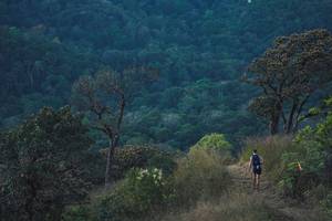 BIB: 
                            <button type="button" onclick="openModal(16056546)" class="btn btn-primary btn-sm float-right btn-popup" data-toggle="modal" data-target=".modal-high-quality">
                        <i class="fas fa-shopping-cart"></i> Add to Cart
                    </button>
                                            <button type="button" onclick="isThisMe(16056546, true)" class="btn btn-success btn-sm float-right btn-popup btn-isme hidden" data-toggle="tooltip" data-placement="bottom" title="นี่คือรูปของคุณใช่ไหม คลิกที่นี่เพื่อเอาเข้าอัลบั้ม">
                        <i class="fas fa-plus"></i> Add to album
                    </button>
                    <button type="button" onclick="isThisMe(16056546, false)" class="btn btn-warning btn-sm float-right btn-popup btn-isnotme hidden">
                        <i class="fas fa-ban"></i> Remove from album
                    </button>