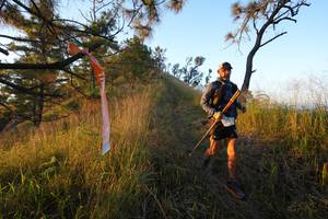 BIB: 
                            <button type="button" onclick="openModal(16056346)" class="btn btn-primary btn-sm float-right btn-popup" data-toggle="modal" data-target=".modal-high-quality">
                        <i class="fas fa-shopping-cart"></i> Add to Cart
                    </button>
                                            <button type="button" onclick="isThisMe(16056346, true)" class="btn btn-success btn-sm float-right btn-popup btn-isme hidden" data-toggle="tooltip" data-placement="bottom" title="นี่คือรูปของคุณใช่ไหม คลิกที่นี่เพื่อเอาเข้าอัลบั้ม">
                        <i class="fas fa-plus"></i> Add to album
                    </button>
                    <button type="button" onclick="isThisMe(16056346, false)" class="btn btn-warning btn-sm float-right btn-popup btn-isnotme hidden">
                        <i class="fas fa-ban"></i> Remove from album
                    </button>