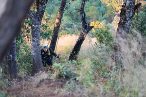 BIB: 
                            <button type="button" onclick="openModal(16056527)" class="btn btn-primary btn-sm float-right btn-popup" data-toggle="modal" data-target=".modal-high-quality">
                        <i class="fas fa-shopping-cart"></i> Add to Cart
                    </button>
                                            <button type="button" onclick="isThisMe(16056527, true)" class="btn btn-success btn-sm float-right btn-popup btn-isme hidden" data-toggle="tooltip" data-placement="bottom" title="นี่คือรูปของคุณใช่ไหม คลิกที่นี่เพื่อเอาเข้าอัลบั้ม">
                        <i class="fas fa-plus"></i> Add to album
                    </button>
                    <button type="button" onclick="isThisMe(16056527, false)" class="btn btn-warning btn-sm float-right btn-popup btn-isnotme hidden">
                        <i class="fas fa-ban"></i> Remove from album
                    </button>