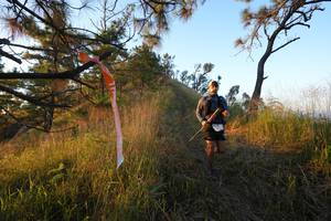 BIB: 
                            <button type="button" onclick="openModal(16056343)" class="btn btn-primary btn-sm float-right btn-popup" data-toggle="modal" data-target=".modal-high-quality">
                        <i class="fas fa-shopping-cart"></i> Add to Cart
                    </button>
                                            <button type="button" onclick="isThisMe(16056343, true)" class="btn btn-success btn-sm float-right btn-popup btn-isme hidden" data-toggle="tooltip" data-placement="bottom" title="นี่คือรูปของคุณใช่ไหม คลิกที่นี่เพื่อเอาเข้าอัลบั้ม">
                        <i class="fas fa-plus"></i> Add to album
                    </button>
                    <button type="button" onclick="isThisMe(16056343, false)" class="btn btn-warning btn-sm float-right btn-popup btn-isnotme hidden">
                        <i class="fas fa-ban"></i> Remove from album
                    </button>