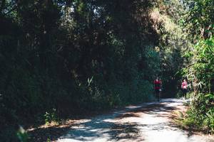 BIB: 
                            <button type="button" onclick="openModal(16056469)" class="btn btn-primary btn-sm float-right btn-popup" data-toggle="modal" data-target=".modal-high-quality">
                        <i class="fas fa-shopping-cart"></i> Add to Cart
                    </button>
                                            <button type="button" onclick="isThisMe(16056469, true)" class="btn btn-success btn-sm float-right btn-popup btn-isme hidden" data-toggle="tooltip" data-placement="bottom" title="นี่คือรูปของคุณใช่ไหม คลิกที่นี่เพื่อเอาเข้าอัลบั้ม">
                        <i class="fas fa-plus"></i> Add to album
                    </button>
                    <button type="button" onclick="isThisMe(16056469, false)" class="btn btn-warning btn-sm float-right btn-popup btn-isnotme hidden">
                        <i class="fas fa-ban"></i> Remove from album
                    </button>