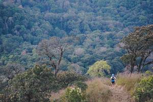 BIB: 
                            <button type="button" onclick="openModal(16056541)" class="btn btn-primary btn-sm float-right btn-popup" data-toggle="modal" data-target=".modal-high-quality">
                        <i class="fas fa-shopping-cart"></i> Add to Cart
                    </button>
                                            <button type="button" onclick="isThisMe(16056541, true)" class="btn btn-success btn-sm float-right btn-popup btn-isme hidden" data-toggle="tooltip" data-placement="bottom" title="นี่คือรูปของคุณใช่ไหม คลิกที่นี่เพื่อเอาเข้าอัลบั้ม">
                        <i class="fas fa-plus"></i> Add to album
                    </button>
                    <button type="button" onclick="isThisMe(16056541, false)" class="btn btn-warning btn-sm float-right btn-popup btn-isnotme hidden">
                        <i class="fas fa-ban"></i> Remove from album
                    </button>