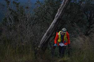 BIB: 
                            <button type="button" onclick="openModal(16056549)" class="btn btn-primary btn-sm float-right btn-popup" data-toggle="modal" data-target=".modal-high-quality">
                        <i class="fas fa-shopping-cart"></i> Add to Cart
                    </button>
                                            <button type="button" onclick="isThisMe(16056549, true)" class="btn btn-success btn-sm float-right btn-popup btn-isme hidden" data-toggle="tooltip" data-placement="bottom" title="นี่คือรูปของคุณใช่ไหม คลิกที่นี่เพื่อเอาเข้าอัลบั้ม">
                        <i class="fas fa-plus"></i> Add to album
                    </button>
                    <button type="button" onclick="isThisMe(16056549, false)" class="btn btn-warning btn-sm float-right btn-popup btn-isnotme hidden">
                        <i class="fas fa-ban"></i> Remove from album
                    </button>