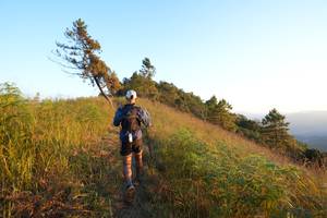 BIB: 
                            <button type="button" onclick="openModal(16056347)" class="btn btn-primary btn-sm float-right btn-popup" data-toggle="modal" data-target=".modal-high-quality">
                        <i class="fas fa-shopping-cart"></i> Add to Cart
                    </button>
                                            <button type="button" onclick="isThisMe(16056347, true)" class="btn btn-success btn-sm float-right btn-popup btn-isme hidden" data-toggle="tooltip" data-placement="bottom" title="นี่คือรูปของคุณใช่ไหม คลิกที่นี่เพื่อเอาเข้าอัลบั้ม">
                        <i class="fas fa-plus"></i> Add to album
                    </button>
                    <button type="button" onclick="isThisMe(16056347, false)" class="btn btn-warning btn-sm float-right btn-popup btn-isnotme hidden">
                        <i class="fas fa-ban"></i> Remove from album
                    </button>