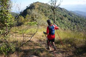 BIB: 
                            <button type="button" onclick="openModal(16056276)" class="btn btn-primary btn-sm float-right btn-popup" data-toggle="modal" data-target=".modal-high-quality">
                        <i class="fas fa-shopping-cart"></i> Add to Cart
                    </button>
                                            <button type="button" onclick="isThisMe(16056276, true)" class="btn btn-success btn-sm float-right btn-popup btn-isme hidden" data-toggle="tooltip" data-placement="bottom" title="นี่คือรูปของคุณใช่ไหม คลิกที่นี่เพื่อเอาเข้าอัลบั้ม">
                        <i class="fas fa-plus"></i> Add to album
                    </button>
                    <button type="button" onclick="isThisMe(16056276, false)" class="btn btn-warning btn-sm float-right btn-popup btn-isnotme hidden">
                        <i class="fas fa-ban"></i> Remove from album
                    </button>