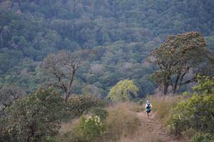 BIB: 
                            <button type="button" onclick="openModal(16056539)" class="btn btn-primary btn-sm float-right btn-popup" data-toggle="modal" data-target=".modal-high-quality">
                        <i class="fas fa-shopping-cart"></i> Add to Cart
                    </button>
                                            <button type="button" onclick="isThisMe(16056539, true)" class="btn btn-success btn-sm float-right btn-popup btn-isme hidden" data-toggle="tooltip" data-placement="bottom" title="นี่คือรูปของคุณใช่ไหม คลิกที่นี่เพื่อเอาเข้าอัลบั้ม">
                        <i class="fas fa-plus"></i> Add to album
                    </button>
                    <button type="button" onclick="isThisMe(16056539, false)" class="btn btn-warning btn-sm float-right btn-popup btn-isnotme hidden">
                        <i class="fas fa-ban"></i> Remove from album
                    </button>