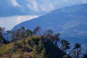 BIB: 
                            <button type="button" onclick="openModal(16056485)" class="btn btn-primary btn-sm float-right btn-popup" data-toggle="modal" data-target=".modal-high-quality">
                        <i class="fas fa-shopping-cart"></i> Add to Cart
                    </button>
                                            <button type="button" onclick="isThisMe(16056485, true)" class="btn btn-success btn-sm float-right btn-popup btn-isme hidden" data-toggle="tooltip" data-placement="bottom" title="นี่คือรูปของคุณใช่ไหม คลิกที่นี่เพื่อเอาเข้าอัลบั้ม">
                        <i class="fas fa-plus"></i> Add to album
                    </button>
                    <button type="button" onclick="isThisMe(16056485, false)" class="btn btn-warning btn-sm float-right btn-popup btn-isnotme hidden">
                        <i class="fas fa-ban"></i> Remove from album
                    </button>