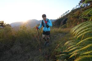 BIB: 
                            <button type="button" onclick="openModal(16056350)" class="btn btn-primary btn-sm float-right btn-popup" data-toggle="modal" data-target=".modal-high-quality">
                        <i class="fas fa-shopping-cart"></i> Add to Cart
                    </button>
                                            <button type="button" onclick="isThisMe(16056350, true)" class="btn btn-success btn-sm float-right btn-popup btn-isme hidden" data-toggle="tooltip" data-placement="bottom" title="นี่คือรูปของคุณใช่ไหม คลิกที่นี่เพื่อเอาเข้าอัลบั้ม">
                        <i class="fas fa-plus"></i> Add to album
                    </button>
                    <button type="button" onclick="isThisMe(16056350, false)" class="btn btn-warning btn-sm float-right btn-popup btn-isnotme hidden">
                        <i class="fas fa-ban"></i> Remove from album
                    </button>