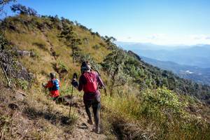 BIB: 
                            <button type="button" onclick="openModal(16056310)" class="btn btn-primary btn-sm float-right btn-popup" data-toggle="modal" data-target=".modal-high-quality">
                        <i class="fas fa-shopping-cart"></i> Add to Cart
                    </button>
                                            <button type="button" onclick="isThisMe(16056310, true)" class="btn btn-success btn-sm float-right btn-popup btn-isme hidden" data-toggle="tooltip" data-placement="bottom" title="นี่คือรูปของคุณใช่ไหม คลิกที่นี่เพื่อเอาเข้าอัลบั้ม">
                        <i class="fas fa-plus"></i> Add to album
                    </button>
                    <button type="button" onclick="isThisMe(16056310, false)" class="btn btn-warning btn-sm float-right btn-popup btn-isnotme hidden">
                        <i class="fas fa-ban"></i> Remove from album
                    </button>