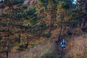 BIB: 
                            <button type="button" onclick="openModal(16056528)" class="btn btn-primary btn-sm float-right btn-popup" data-toggle="modal" data-target=".modal-high-quality">
                        <i class="fas fa-shopping-cart"></i> Add to Cart
                    </button>
                                            <button type="button" onclick="isThisMe(16056528, true)" class="btn btn-success btn-sm float-right btn-popup btn-isme hidden" data-toggle="tooltip" data-placement="bottom" title="นี่คือรูปของคุณใช่ไหม คลิกที่นี่เพื่อเอาเข้าอัลบั้ม">
                        <i class="fas fa-plus"></i> Add to album
                    </button>
                    <button type="button" onclick="isThisMe(16056528, false)" class="btn btn-warning btn-sm float-right btn-popup btn-isnotme hidden">
                        <i class="fas fa-ban"></i> Remove from album
                    </button>