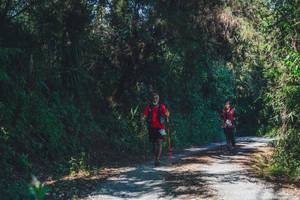 BIB: 
                            <button type="button" onclick="openModal(16056472)" class="btn btn-primary btn-sm float-right btn-popup" data-toggle="modal" data-target=".modal-high-quality">
                        <i class="fas fa-shopping-cart"></i> Add to Cart
                    </button>
                                            <button type="button" onclick="isThisMe(16056472, true)" class="btn btn-success btn-sm float-right btn-popup btn-isme hidden" data-toggle="tooltip" data-placement="bottom" title="นี่คือรูปของคุณใช่ไหม คลิกที่นี่เพื่อเอาเข้าอัลบั้ม">
                        <i class="fas fa-plus"></i> Add to album
                    </button>
                    <button type="button" onclick="isThisMe(16056472, false)" class="btn btn-warning btn-sm float-right btn-popup btn-isnotme hidden">
                        <i class="fas fa-ban"></i> Remove from album
                    </button>