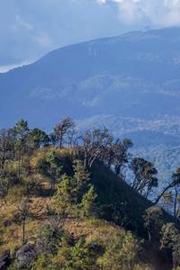 BIB: 
                            <button type="button" onclick="openModal(16056483)" class="btn btn-primary btn-sm float-right btn-popup" data-toggle="modal" data-target=".modal-high-quality">
                        <i class="fas fa-shopping-cart"></i> Add to Cart
                    </button>
                                            <button type="button" onclick="isThisMe(16056483, true)" class="btn btn-success btn-sm float-right btn-popup btn-isme hidden" data-toggle="tooltip" data-placement="bottom" title="นี่คือรูปของคุณใช่ไหม คลิกที่นี่เพื่อเอาเข้าอัลบั้ม">
                        <i class="fas fa-plus"></i> Add to album
                    </button>
                    <button type="button" onclick="isThisMe(16056483, false)" class="btn btn-warning btn-sm float-right btn-popup btn-isnotme hidden">
                        <i class="fas fa-ban"></i> Remove from album
                    </button>