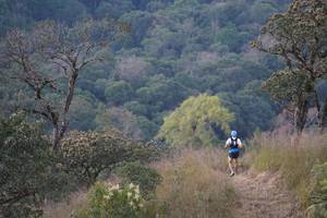 BIB: 
                            <button type="button" onclick="openModal(16056544)" class="btn btn-primary btn-sm float-right btn-popup" data-toggle="modal" data-target=".modal-high-quality">
                        <i class="fas fa-shopping-cart"></i> Add to Cart
                    </button>
                                            <button type="button" onclick="isThisMe(16056544, true)" class="btn btn-success btn-sm float-right btn-popup btn-isme hidden" data-toggle="tooltip" data-placement="bottom" title="นี่คือรูปของคุณใช่ไหม คลิกที่นี่เพื่อเอาเข้าอัลบั้ม">
                        <i class="fas fa-plus"></i> Add to album
                    </button>
                    <button type="button" onclick="isThisMe(16056544, false)" class="btn btn-warning btn-sm float-right btn-popup btn-isnotme hidden">
                        <i class="fas fa-ban"></i> Remove from album
                    </button>