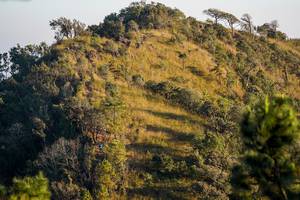 BIB: 
                            <button type="button" onclick="openModal(16056513)" class="btn btn-primary btn-sm float-right btn-popup" data-toggle="modal" data-target=".modal-high-quality">
                        <i class="fas fa-shopping-cart"></i> Add to Cart
                    </button>
                                            <button type="button" onclick="isThisMe(16056513, true)" class="btn btn-success btn-sm float-right btn-popup btn-isme hidden" data-toggle="tooltip" data-placement="bottom" title="นี่คือรูปของคุณใช่ไหม คลิกที่นี่เพื่อเอาเข้าอัลบั้ม">
                        <i class="fas fa-plus"></i> Add to album
                    </button>
                    <button type="button" onclick="isThisMe(16056513, false)" class="btn btn-warning btn-sm float-right btn-popup btn-isnotme hidden">
                        <i class="fas fa-ban"></i> Remove from album
                    </button>