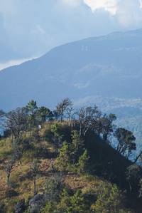 BIB: 
                            <button type="button" onclick="openModal(16056482)" class="btn btn-primary btn-sm float-right btn-popup" data-toggle="modal" data-target=".modal-high-quality">
                        <i class="fas fa-shopping-cart"></i> Add to Cart
                    </button>
                                            <button type="button" onclick="isThisMe(16056482, true)" class="btn btn-success btn-sm float-right btn-popup btn-isme hidden" data-toggle="tooltip" data-placement="bottom" title="นี่คือรูปของคุณใช่ไหม คลิกที่นี่เพื่อเอาเข้าอัลบั้ม">
                        <i class="fas fa-plus"></i> Add to album
                    </button>
                    <button type="button" onclick="isThisMe(16056482, false)" class="btn btn-warning btn-sm float-right btn-popup btn-isnotme hidden">
                        <i class="fas fa-ban"></i> Remove from album
                    </button>