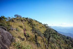 BIB: 
                            <button type="button" onclick="openModal(16056315)" class="btn btn-primary btn-sm float-right btn-popup" data-toggle="modal" data-target=".modal-high-quality">
                        <i class="fas fa-shopping-cart"></i> Add to Cart
                    </button>
                                            <button type="button" onclick="isThisMe(16056315, true)" class="btn btn-success btn-sm float-right btn-popup btn-isme hidden" data-toggle="tooltip" data-placement="bottom" title="นี่คือรูปของคุณใช่ไหม คลิกที่นี่เพื่อเอาเข้าอัลบั้ม">
                        <i class="fas fa-plus"></i> Add to album
                    </button>
                    <button type="button" onclick="isThisMe(16056315, false)" class="btn btn-warning btn-sm float-right btn-popup btn-isnotme hidden">
                        <i class="fas fa-ban"></i> Remove from album
                    </button>