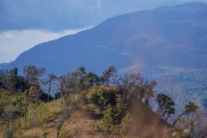 BIB: 
                            <button type="button" onclick="openModal(16056481)" class="btn btn-primary btn-sm float-right btn-popup" data-toggle="modal" data-target=".modal-high-quality">
                        <i class="fas fa-shopping-cart"></i> Add to Cart
                    </button>
                                            <button type="button" onclick="isThisMe(16056481, true)" class="btn btn-success btn-sm float-right btn-popup btn-isme hidden" data-toggle="tooltip" data-placement="bottom" title="นี่คือรูปของคุณใช่ไหม คลิกที่นี่เพื่อเอาเข้าอัลบั้ม">
                        <i class="fas fa-plus"></i> Add to album
                    </button>
                    <button type="button" onclick="isThisMe(16056481, false)" class="btn btn-warning btn-sm float-right btn-popup btn-isnotme hidden">
                        <i class="fas fa-ban"></i> Remove from album
                    </button>