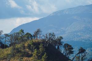 BIB: 
                            <button type="button" onclick="openModal(16056484)" class="btn btn-primary btn-sm float-right btn-popup" data-toggle="modal" data-target=".modal-high-quality">
                        <i class="fas fa-shopping-cart"></i> Add to Cart
                    </button>
                                            <button type="button" onclick="isThisMe(16056484, true)" class="btn btn-success btn-sm float-right btn-popup btn-isme hidden" data-toggle="tooltip" data-placement="bottom" title="นี่คือรูปของคุณใช่ไหม คลิกที่นี่เพื่อเอาเข้าอัลบั้ม">
                        <i class="fas fa-plus"></i> Add to album
                    </button>
                    <button type="button" onclick="isThisMe(16056484, false)" class="btn btn-warning btn-sm float-right btn-popup btn-isnotme hidden">
                        <i class="fas fa-ban"></i> Remove from album
                    </button>