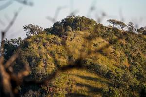 BIB: 
                            <button type="button" onclick="openModal(16056515)" class="btn btn-primary btn-sm float-right btn-popup" data-toggle="modal" data-target=".modal-high-quality">
                        <i class="fas fa-shopping-cart"></i> Add to Cart
                    </button>
                                            <button type="button" onclick="isThisMe(16056515, true)" class="btn btn-success btn-sm float-right btn-popup btn-isme hidden" data-toggle="tooltip" data-placement="bottom" title="นี่คือรูปของคุณใช่ไหม คลิกที่นี่เพื่อเอาเข้าอัลบั้ม">
                        <i class="fas fa-plus"></i> Add to album
                    </button>
                    <button type="button" onclick="isThisMe(16056515, false)" class="btn btn-warning btn-sm float-right btn-popup btn-isnotme hidden">
                        <i class="fas fa-ban"></i> Remove from album
                    </button>