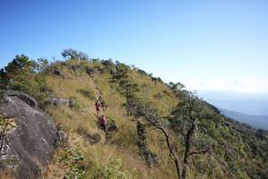 BIB: 
                            <button type="button" onclick="openModal(16056314)" class="btn btn-primary btn-sm float-right btn-popup" data-toggle="modal" data-target=".modal-high-quality">
                        <i class="fas fa-shopping-cart"></i> Add to Cart
                    </button>
                                            <button type="button" onclick="isThisMe(16056314, true)" class="btn btn-success btn-sm float-right btn-popup btn-isme hidden" data-toggle="tooltip" data-placement="bottom" title="นี่คือรูปของคุณใช่ไหม คลิกที่นี่เพื่อเอาเข้าอัลบั้ม">
                        <i class="fas fa-plus"></i> Add to album
                    </button>
                    <button type="button" onclick="isThisMe(16056314, false)" class="btn btn-warning btn-sm float-right btn-popup btn-isnotme hidden">
                        <i class="fas fa-ban"></i> Remove from album
                    </button>