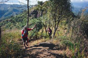 BIB: 
                            <button type="button" onclick="openModal(16056293)" class="btn btn-primary btn-sm float-right btn-popup" data-toggle="modal" data-target=".modal-high-quality">
                        <i class="fas fa-shopping-cart"></i> Add to Cart
                    </button>
                                            <button type="button" onclick="isThisMe(16056293, true)" class="btn btn-success btn-sm float-right btn-popup btn-isme hidden" data-toggle="tooltip" data-placement="bottom" title="นี่คือรูปของคุณใช่ไหม คลิกที่นี่เพื่อเอาเข้าอัลบั้ม">
                        <i class="fas fa-plus"></i> Add to album
                    </button>
                    <button type="button" onclick="isThisMe(16056293, false)" class="btn btn-warning btn-sm float-right btn-popup btn-isnotme hidden">
                        <i class="fas fa-ban"></i> Remove from album
                    </button>