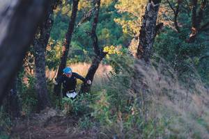 BIB: 
                            <button type="button" onclick="openModal(16056517)" class="btn btn-primary btn-sm float-right btn-popup" data-toggle="modal" data-target=".modal-high-quality">
                        <i class="fas fa-shopping-cart"></i> Add to Cart
                    </button>
                                            <button type="button" onclick="isThisMe(16056517, true)" class="btn btn-success btn-sm float-right btn-popup btn-isme hidden" data-toggle="tooltip" data-placement="bottom" title="นี่คือรูปของคุณใช่ไหม คลิกที่นี่เพื่อเอาเข้าอัลบั้ม">
                        <i class="fas fa-plus"></i> Add to album
                    </button>
                    <button type="button" onclick="isThisMe(16056517, false)" class="btn btn-warning btn-sm float-right btn-popup btn-isnotme hidden">
                        <i class="fas fa-ban"></i> Remove from album
                    </button>