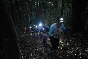 BIB: 
                            <button type="button" onclick="openModal(16056993)" class="btn btn-primary btn-sm float-right btn-popup" data-toggle="modal" data-target=".modal-high-quality">
                        <i class="fas fa-shopping-cart"></i> Add to Cart
                    </button>
                                            <button type="button" onclick="isThisMe(16056993, true)" class="btn btn-success btn-sm float-right btn-popup btn-isme hidden" data-toggle="tooltip" data-placement="bottom" title="นี่คือรูปของคุณใช่ไหม คลิกที่นี่เพื่อเอาเข้าอัลบั้ม">
                        <i class="fas fa-plus"></i> Add to album
                    </button>
                    <button type="button" onclick="isThisMe(16056993, false)" class="btn btn-warning btn-sm float-right btn-popup btn-isnotme hidden">
                        <i class="fas fa-ban"></i> Remove from album
                    </button>