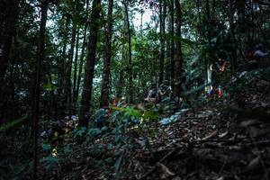 BIB: 
                            <button type="button" onclick="openModal(16057032)" class="btn btn-primary btn-sm float-right btn-popup" data-toggle="modal" data-target=".modal-high-quality">
                        <i class="fas fa-shopping-cart"></i> Add to Cart
                    </button>
                                            <button type="button" onclick="isThisMe(16057032, true)" class="btn btn-success btn-sm float-right btn-popup btn-isme hidden" data-toggle="tooltip" data-placement="bottom" title="นี่คือรูปของคุณใช่ไหม คลิกที่นี่เพื่อเอาเข้าอัลบั้ม">
                        <i class="fas fa-plus"></i> Add to album
                    </button>
                    <button type="button" onclick="isThisMe(16057032, false)" class="btn btn-warning btn-sm float-right btn-popup btn-isnotme hidden">
                        <i class="fas fa-ban"></i> Remove from album
                    </button>