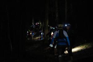 BIB: 
                            <button type="button" onclick="openModal(16056651)" class="btn btn-primary btn-sm float-right btn-popup" data-toggle="modal" data-target=".modal-high-quality">
                        <i class="fas fa-shopping-cart"></i> Add to Cart
                    </button>
                                            <button type="button" onclick="isThisMe(16056651, true)" class="btn btn-success btn-sm float-right btn-popup btn-isme hidden" data-toggle="tooltip" data-placement="bottom" title="นี่คือรูปของคุณใช่ไหม คลิกที่นี่เพื่อเอาเข้าอัลบั้ม">
                        <i class="fas fa-plus"></i> Add to album
                    </button>
                    <button type="button" onclick="isThisMe(16056651, false)" class="btn btn-warning btn-sm float-right btn-popup btn-isnotme hidden">
                        <i class="fas fa-ban"></i> Remove from album
                    </button>