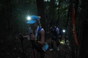 BIB: 
                            <button type="button" onclick="openModal(16057005)" class="btn btn-primary btn-sm float-right btn-popup" data-toggle="modal" data-target=".modal-high-quality">
                        <i class="fas fa-shopping-cart"></i> Add to Cart
                    </button>
                                            <button type="button" onclick="isThisMe(16057005, true)" class="btn btn-success btn-sm float-right btn-popup btn-isme hidden" data-toggle="tooltip" data-placement="bottom" title="นี่คือรูปของคุณใช่ไหม คลิกที่นี่เพื่อเอาเข้าอัลบั้ม">
                        <i class="fas fa-plus"></i> Add to album
                    </button>
                    <button type="button" onclick="isThisMe(16057005, false)" class="btn btn-warning btn-sm float-right btn-popup btn-isnotme hidden">
                        <i class="fas fa-ban"></i> Remove from album
                    </button>