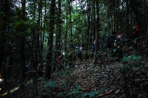 BIB: 
                            <button type="button" onclick="openModal(16057028)" class="btn btn-primary btn-sm float-right btn-popup" data-toggle="modal" data-target=".modal-high-quality">
                        <i class="fas fa-shopping-cart"></i> Add to Cart
                    </button>
                                            <button type="button" onclick="isThisMe(16057028, true)" class="btn btn-success btn-sm float-right btn-popup btn-isme hidden" data-toggle="tooltip" data-placement="bottom" title="นี่คือรูปของคุณใช่ไหม คลิกที่นี่เพื่อเอาเข้าอัลบั้ม">
                        <i class="fas fa-plus"></i> Add to album
                    </button>
                    <button type="button" onclick="isThisMe(16057028, false)" class="btn btn-warning btn-sm float-right btn-popup btn-isnotme hidden">
                        <i class="fas fa-ban"></i> Remove from album
                    </button>