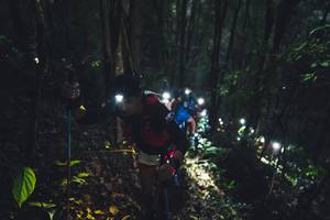 BIB: 
                            <button type="button" onclick="openModal(16056977)" class="btn btn-primary btn-sm float-right btn-popup" data-toggle="modal" data-target=".modal-high-quality">
                        <i class="fas fa-shopping-cart"></i> Add to Cart
                    </button>
                                            <button type="button" onclick="isThisMe(16056977, true)" class="btn btn-success btn-sm float-right btn-popup btn-isme hidden" data-toggle="tooltip" data-placement="bottom" title="นี่คือรูปของคุณใช่ไหม คลิกที่นี่เพื่อเอาเข้าอัลบั้ม">
                        <i class="fas fa-plus"></i> Add to album
                    </button>
                    <button type="button" onclick="isThisMe(16056977, false)" class="btn btn-warning btn-sm float-right btn-popup btn-isnotme hidden">
                        <i class="fas fa-ban"></i> Remove from album
                    </button>