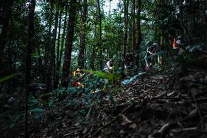 BIB: 
                            <button type="button" onclick="openModal(16057030)" class="btn btn-primary btn-sm float-right btn-popup" data-toggle="modal" data-target=".modal-high-quality">
                        <i class="fas fa-shopping-cart"></i> Add to Cart
                    </button>
                                            <button type="button" onclick="isThisMe(16057030, true)" class="btn btn-success btn-sm float-right btn-popup btn-isme hidden" data-toggle="tooltip" data-placement="bottom" title="นี่คือรูปของคุณใช่ไหม คลิกที่นี่เพื่อเอาเข้าอัลบั้ม">
                        <i class="fas fa-plus"></i> Add to album
                    </button>
                    <button type="button" onclick="isThisMe(16057030, false)" class="btn btn-warning btn-sm float-right btn-popup btn-isnotme hidden">
                        <i class="fas fa-ban"></i> Remove from album
                    </button>