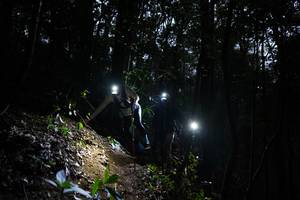 BIB: 
                            <button type="button" onclick="openModal(16056971)" class="btn btn-primary btn-sm float-right btn-popup" data-toggle="modal" data-target=".modal-high-quality">
                        <i class="fas fa-shopping-cart"></i> Add to Cart
                    </button>
                                            <button type="button" onclick="isThisMe(16056971, true)" class="btn btn-success btn-sm float-right btn-popup btn-isme hidden" data-toggle="tooltip" data-placement="bottom" title="นี่คือรูปของคุณใช่ไหม คลิกที่นี่เพื่อเอาเข้าอัลบั้ม">
                        <i class="fas fa-plus"></i> Add to album
                    </button>
                    <button type="button" onclick="isThisMe(16056971, false)" class="btn btn-warning btn-sm float-right btn-popup btn-isnotme hidden">
                        <i class="fas fa-ban"></i> Remove from album
                    </button>