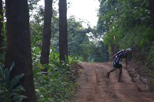 BIB: 
                            <button type="button" onclick="openModal(16056801)" class="btn btn-primary btn-sm float-right btn-popup" data-toggle="modal" data-target=".modal-high-quality">
                        <i class="fas fa-shopping-cart"></i> Add to Cart
                    </button>
                                            <button type="button" onclick="isThisMe(16056801, true)" class="btn btn-success btn-sm float-right btn-popup btn-isme hidden" data-toggle="tooltip" data-placement="bottom" title="นี่คือรูปของคุณใช่ไหม คลิกที่นี่เพื่อเอาเข้าอัลบั้ม">
                        <i class="fas fa-plus"></i> Add to album
                    </button>
                    <button type="button" onclick="isThisMe(16056801, false)" class="btn btn-warning btn-sm float-right btn-popup btn-isnotme hidden">
                        <i class="fas fa-ban"></i> Remove from album
                    </button>