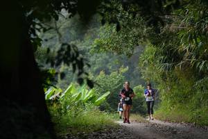 BIB: 
                            <button type="button" onclick="openModal(16056717)" class="btn btn-primary btn-sm float-right btn-popup" data-toggle="modal" data-target=".modal-high-quality">
                        <i class="fas fa-shopping-cart"></i> Add to Cart
                    </button>
                                            <button type="button" onclick="isThisMe(16056717, true)" class="btn btn-success btn-sm float-right btn-popup btn-isme hidden" data-toggle="tooltip" data-placement="bottom" title="นี่คือรูปของคุณใช่ไหม คลิกที่นี่เพื่อเอาเข้าอัลบั้ม">
                        <i class="fas fa-plus"></i> Add to album
                    </button>
                    <button type="button" onclick="isThisMe(16056717, false)" class="btn btn-warning btn-sm float-right btn-popup btn-isnotme hidden">
                        <i class="fas fa-ban"></i> Remove from album
                    </button>