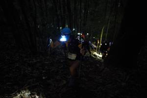 BIB: 
                            <button type="button" onclick="openModal(16056983)" class="btn btn-primary btn-sm float-right btn-popup" data-toggle="modal" data-target=".modal-high-quality">
                        <i class="fas fa-shopping-cart"></i> Add to Cart
                    </button>
                                            <button type="button" onclick="isThisMe(16056983, true)" class="btn btn-success btn-sm float-right btn-popup btn-isme hidden" data-toggle="tooltip" data-placement="bottom" title="นี่คือรูปของคุณใช่ไหม คลิกที่นี่เพื่อเอาเข้าอัลบั้ม">
                        <i class="fas fa-plus"></i> Add to album
                    </button>
                    <button type="button" onclick="isThisMe(16056983, false)" class="btn btn-warning btn-sm float-right btn-popup btn-isnotme hidden">
                        <i class="fas fa-ban"></i> Remove from album
                    </button>